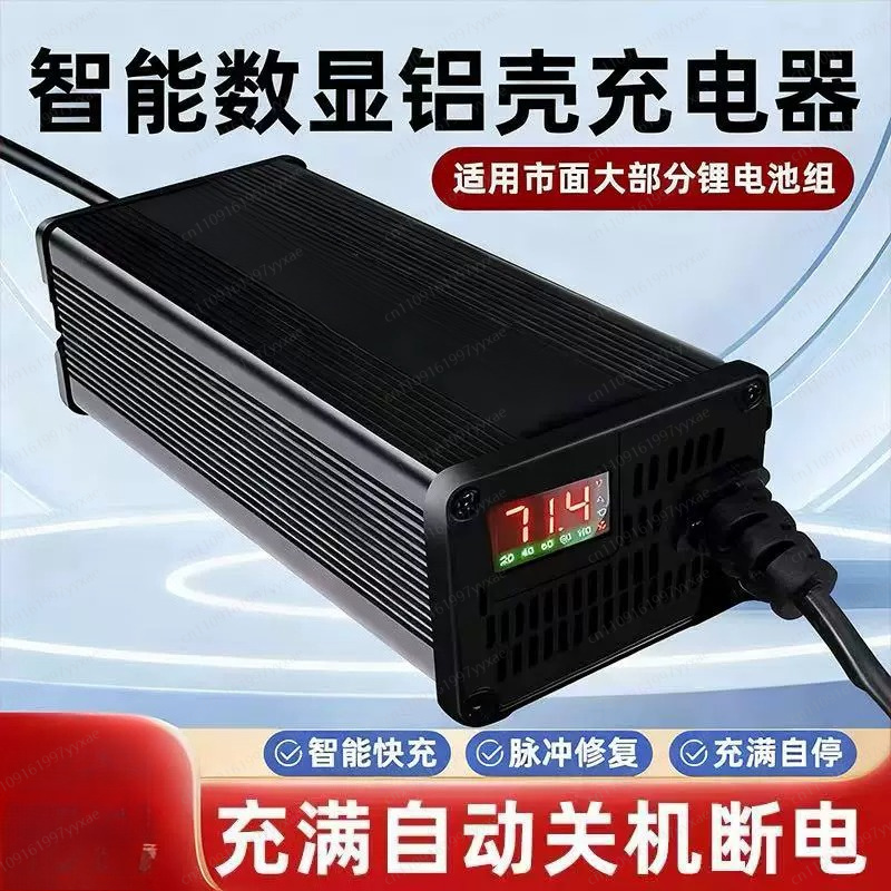 48V 60V 72V 스마트 LiFePO4 리튬이온 충 - 72V 15A Fast Charger 리뷰 및 가격
